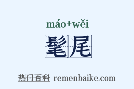 髦尾是什么意思的图片